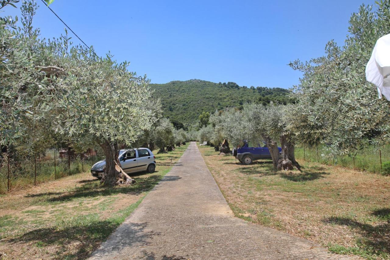 Skopelos Evergreen Apartments Stafylos Eksteriør billede